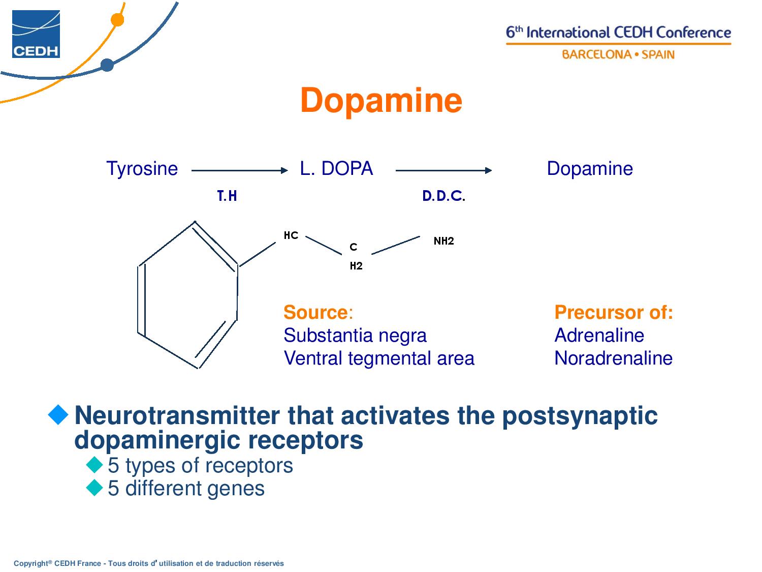 Dopamine Serotonin M. Maisonneuve A. Holtzscherer DEF EN page 003