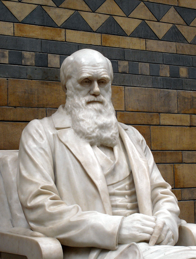 Charles Darwin statue 5661r